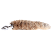 The Alluring Raccoon Tail