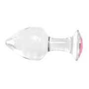 Scandalous Unleashed Forbidden Anal Training Kit – Ignite Your Untamed Lust (4 Piece)