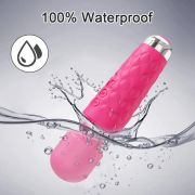 Alluring Temptress Pleasure Wand