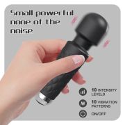 Alluring Temptress Pleasure Wand