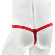 Unleash Your Christmas Spirit with the “Santa’s Naughty Secret” Mankini