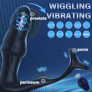 Seduction Probe – Unleash Your Pleasure Potential
