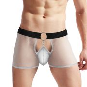 Wickedly Seductive See-Through Allure Boxers