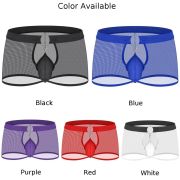 Wickedly Seductive See-Through Allure Boxers