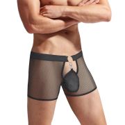 Wickedly Seductive See-Through Allure Boxers
