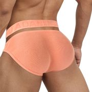 Alluring Appeal – Men’s Seductive Underwear