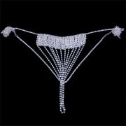 Irresistible Seduction of the Sexy Bikini