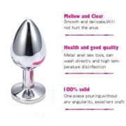 Unleash Forbidden Pleasures with the ‘Enchanting Stainless Steel Princess Plug