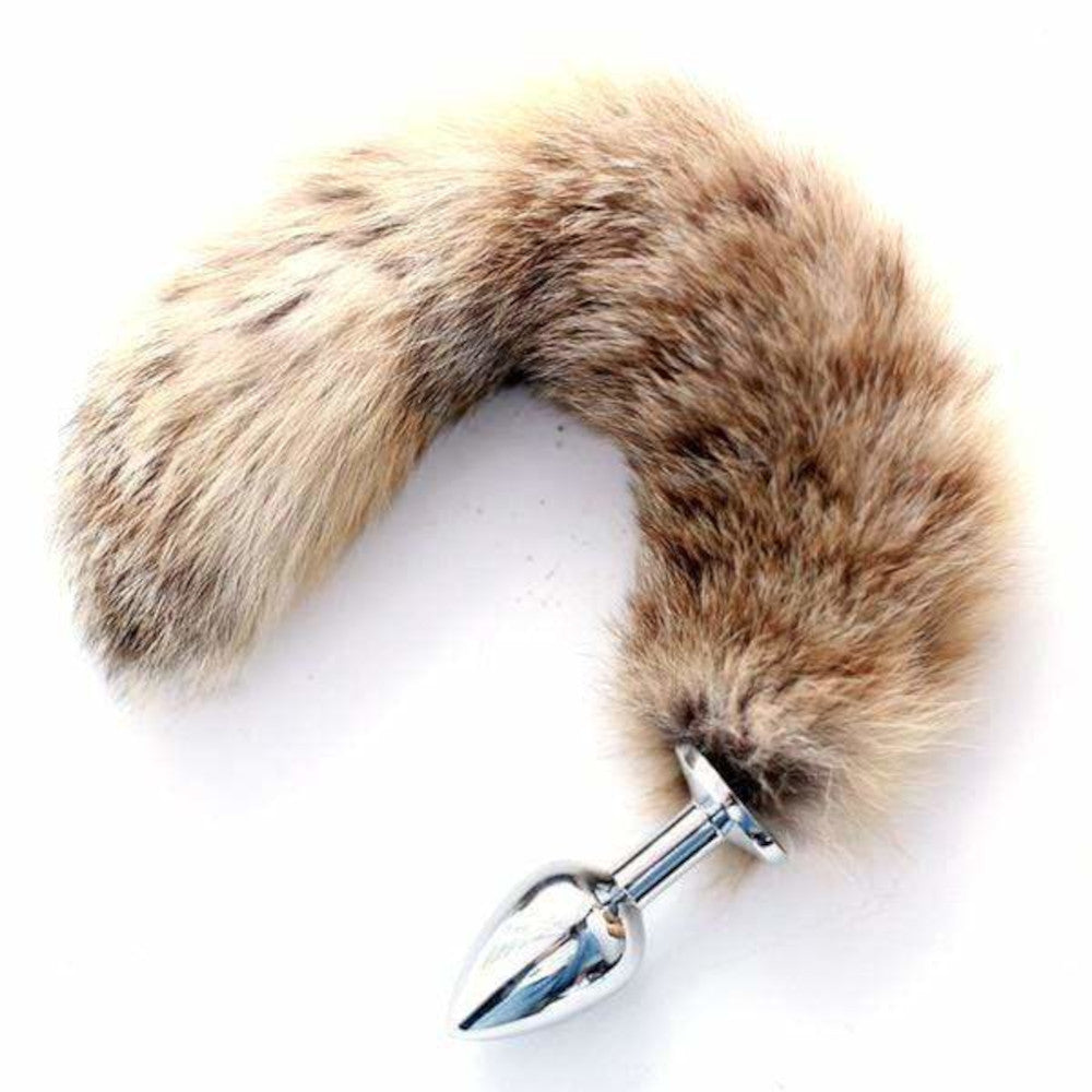 The Alluring Raccoon Tail