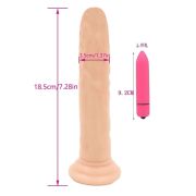 Sensational Realistic Delight – Silicone Dildo