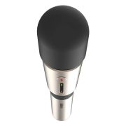 🎀The “Exquisite Euphoria Wand” – Leten’s Ultimate Pleasure Device🎀