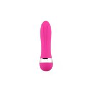 🎀The Secret Weapon of Sensuality: The Miniature Pleasure Prodigy🎀